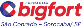 Logo Bigfort